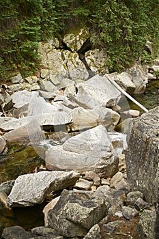 Rocky Mountain Stream