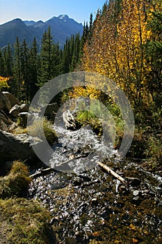 Rocky Mountain stream