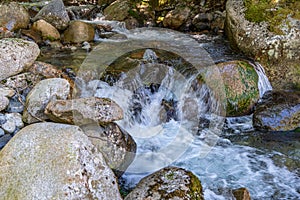 Rocky Mountain Stream Details 2