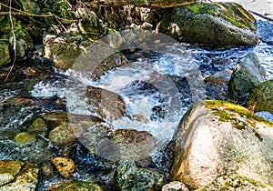 Rocky Mountain Stream Details 4