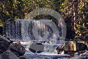 Rocky mountain stream and gum trees in background.