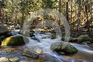 Rocky mountain stream and gum trees in background.