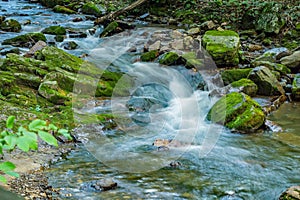 Rocky Mountain Stream and Moss Covered Rocks