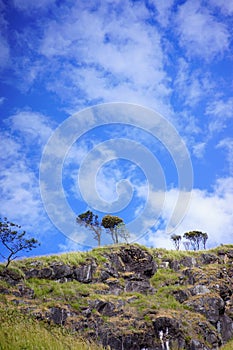 Rocky mountain and tree on the peak with skies are blue and cloudy