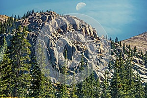 Rocky mountain at treeline with pine trees at Pikes Peak USA with daytime moon in blue  sky