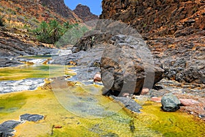 Rocky Mountain, Yemen