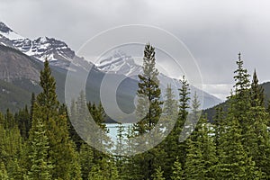 Rocky Mountains and Boreal Forest - Jasper National Park, Canada