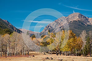 Rocky Mountains in Fall