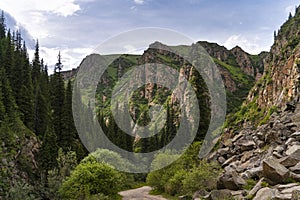 Rocky mountains and firs near Almaty city, Kazakhstan