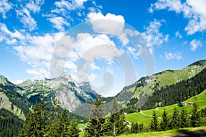 Rocky mountains and green grass and trees with blue skies and clouds Trees