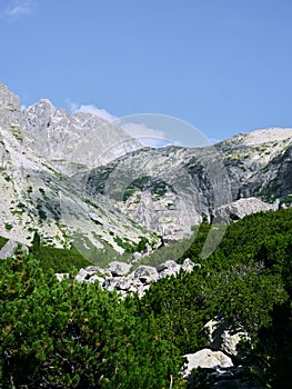 Rocky mountains of the High Tatras among the trees in Slovakia