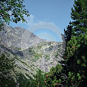 Rocky mountains of the High Tatras among the trees in Slovakia