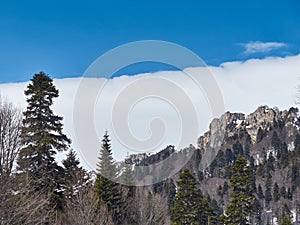 Rocky Mountains. Mountain range