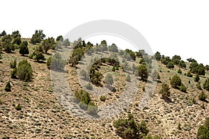 Rocky Mountains with oak trees isolated on white