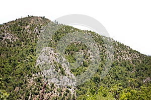 Rocky Mountains with oak trees isolated on white