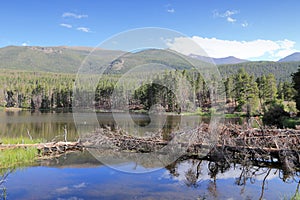 Rocky Mountains - Sprague Lake