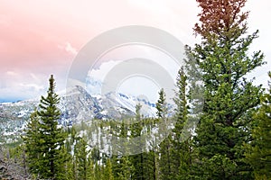Rocky mountains in the springtime