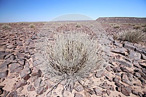 Rocky namibian desert