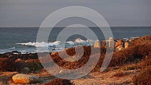 Rocky ocean coast, dramatic sea waves, Monterey beach, California, birds flying.