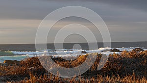 Rocky ocean coast, dramatic sea waves, Monterey beach, California, birds flying.