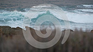 Rocky ocean coast, dramatic sea waves, Monterey beach, California, birds flying.