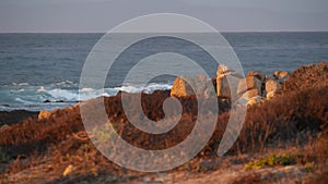 Rocky ocean coast, dramatic sea waves, Monterey beach, California, birds flying.