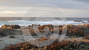 Rocky ocean coast, dramatic sea waves, Monterey beach, California, birds flying.