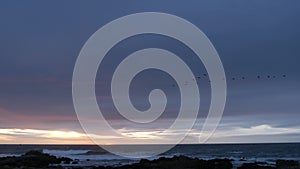 Rocky ocean coast sea waves, Monterey beach California, birds flying, sunset sky