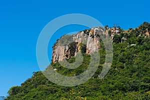 A rocky outcrop in dense forest, Umgeni Valley Nature Reserve, South Africa