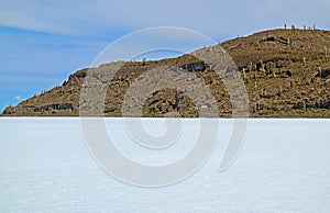 Rocky Outcrop on Uyuni Salt Flats Known as Isla del Pescado or Isla Incahuasi with Uncountable Giant Cactus Plants, Bolivia