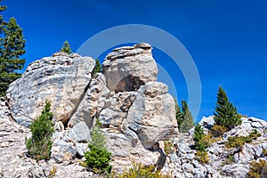 Rocky Outcrop in Yellowstone