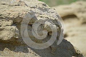 Rocky outcropping above Billings, Montana photo