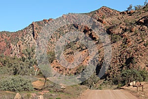 Rocky outcrops in Brachina Gorge in South Australia