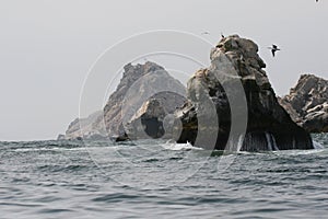 Rocky outcrops with marine birds in Peru