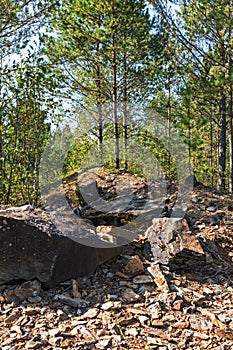 Rocky outcrops of the Salair ridge have gold of the river Suenga, Siberia, Russia