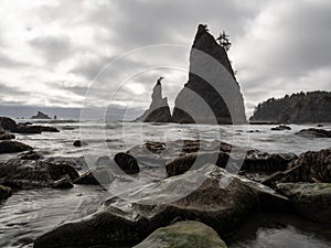 Rocky Pacific Northwest Coast, Sea Stacks on Rialto Beach