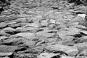 Rocky Path - Black and White