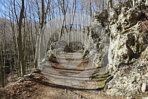 Faito rocky path