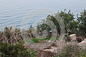 Rocky path in a park on the top of the hill descending towards the sea in the morning light