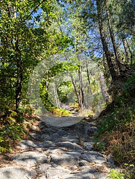 Rocky path in Serra da Estrela