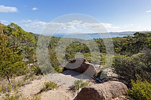 Rocky path and vegetation along trail up to Wineglass Bay lookout, View of Coles Bay, Tasmania island, Australia