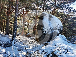Rocky pathway next to a big boulder in Cercedilla, Sierra de Guadarrama, Spain during winter photo