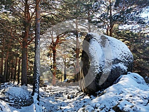 Rocky pathway next to a big boulder in Cercedilla, Sierra de Guadarrama, Spain during winter photo