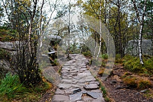 Rocky pathway through small wood
