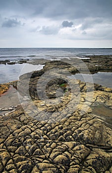 Rocky pattern at Kimmeridge - Dorset, England