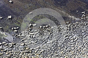 Rocky patterns on the low tide sea bed