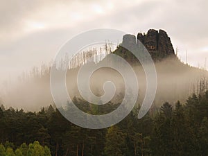 Rocky peak is sticking out from forest to dark grey cloud. Misty spring morning