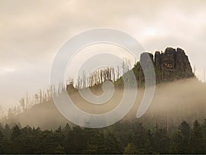 Rocky peak is sticking out from forest to dark grey cloud. Misty spring morning