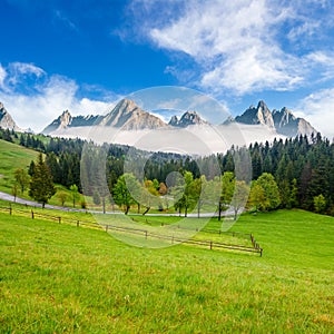 Rocky peaks behind the forest and meadow