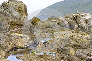 Rocky pool at low tide in the Tsitsikamma Nature Reserve near the Storms River mouth in South Africa.